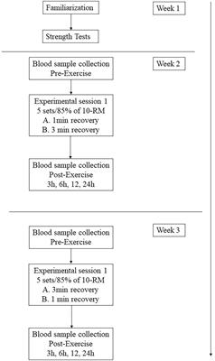 Higher Muscle Damage Triggered by Shorter Inter-Set Rest Periods in Volume-Equated Resistance Exercise